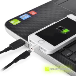 Adaptador USB Iphone Avantree - Ítem2