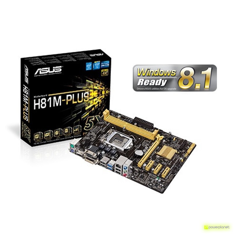 ASUS H81M-PLUS