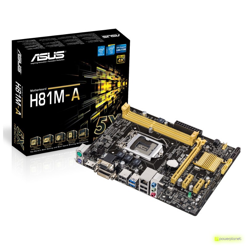 ASUS H81M-A
