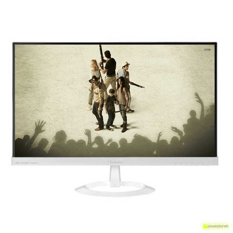 monitor barato y de buen rendimiento