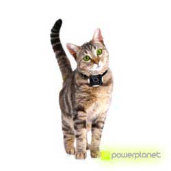 comprar câmera perros y gatos - Item2