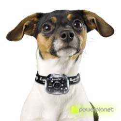 comprar câmera perros y gatos - Item3
