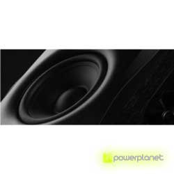 Altavoces HiVi Swans D1010-IV - Ítem1