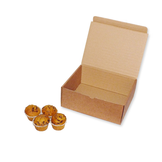 Cajas Impresas 250x205x100mm