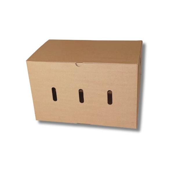 Caja de cartón para envío de fruta 460x300x300mm