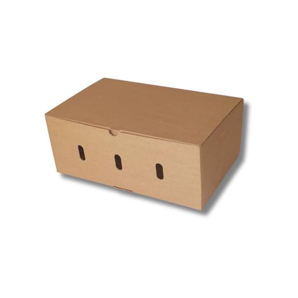Caja de cartón para envío de fruta 460x300x190mm