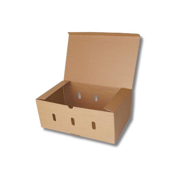 Caja de cartón para envío de fruta 460x300x190mm