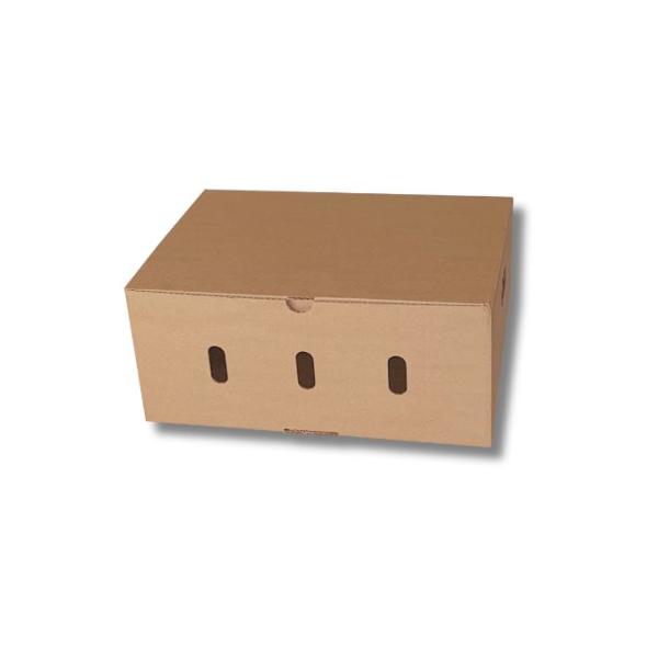 Caja de cartón para envío de fruta 400x300x170mm