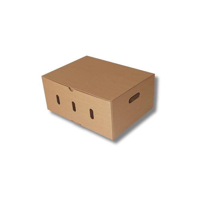 Caja de cartón para envío de fruta 400x300x170mm