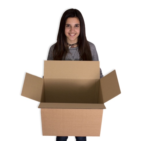 Cajas de cartón 425x275x325mm Cajas de cartón 425x275x325mm