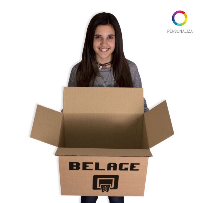 Caja de Embalaje 425x275x325mm