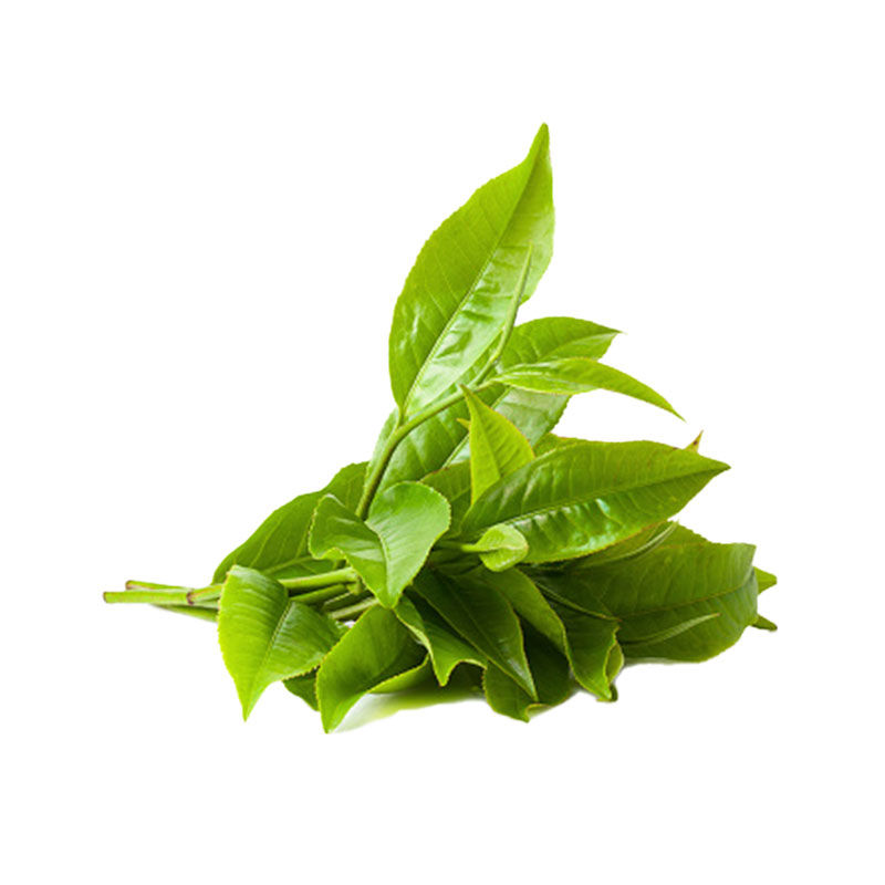 Lufterfrischer mit grünem Teespray