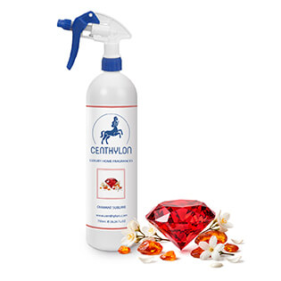 Ambientadores profesionales - Diamant Sublime 750ml