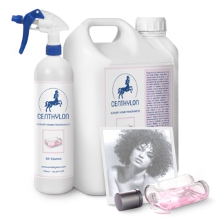 Home Fragrance 501 Essence 5lts