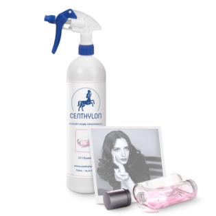 Ambientadores profesionales 511 Essence 750ml