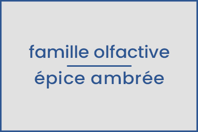 Parfum d'ambiance Vanille échantillon 13ml.