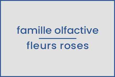 Parfum d'ambiance Bouquet de Roses échantillon 13ml.