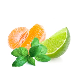 Parfum d'ambiance Mandarin & Lime Basil échantillon