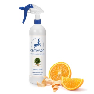 Parfum d'ambiance Spray Orange Cèdre 750ml
