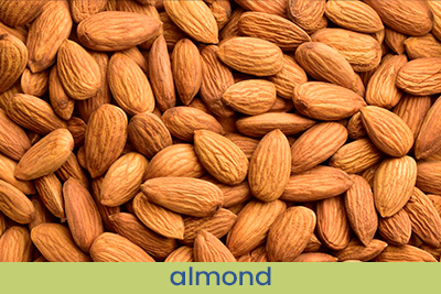 Reminds of Black Opium Sample 13ml.