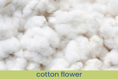  Home Fragrance Odor Eliminator - Cotton Flower Sample 13ml.