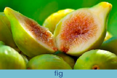 Home Fragrance Verdal Fig Sample 13ml.