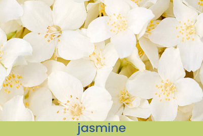  Home Fragrance Odor Eliminator - Cotton Flower Sample 13ml.