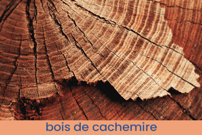 Inspiré par Black Opium Échantillon 13ml.