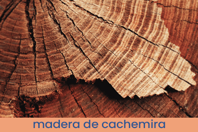 Inspirado en Black Opium Muestra 13ml.