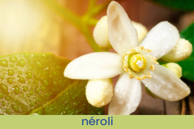 Parfum d'ambiance Vêtements Propres échantillon 20ml.