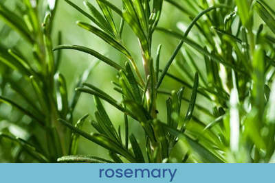 Raumspray Französischem Lavendel Probe 20 ml.