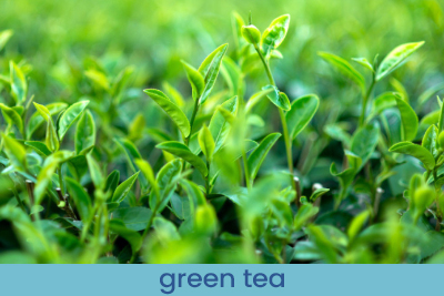 Home Fragrance Green Tea Sample 13ml.