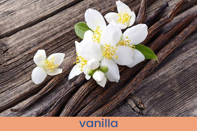 Home Fragrance Bergamote & Vanilla Sample 13ml.