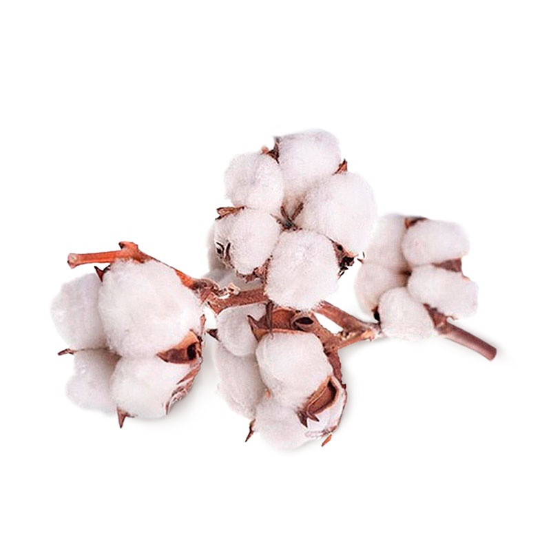 Home Fragrance Odor Eliminator Cotton Flower
