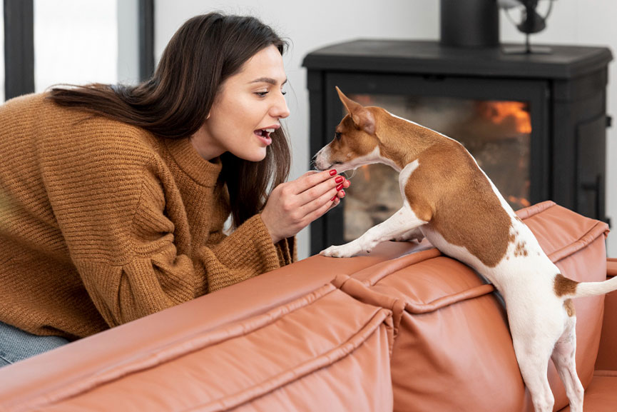 eliminar-el-olor-a-perro-en-casa