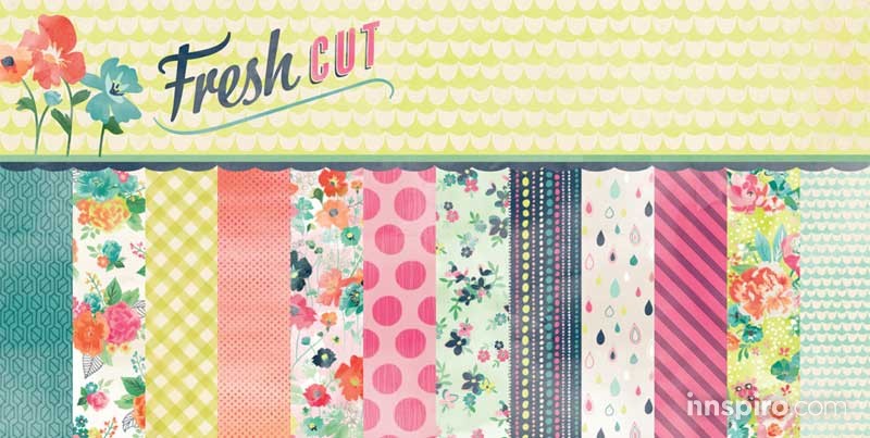 Nueva colección Basic Grey, Fresh Cut