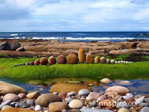 Creaciones en la naturaleza