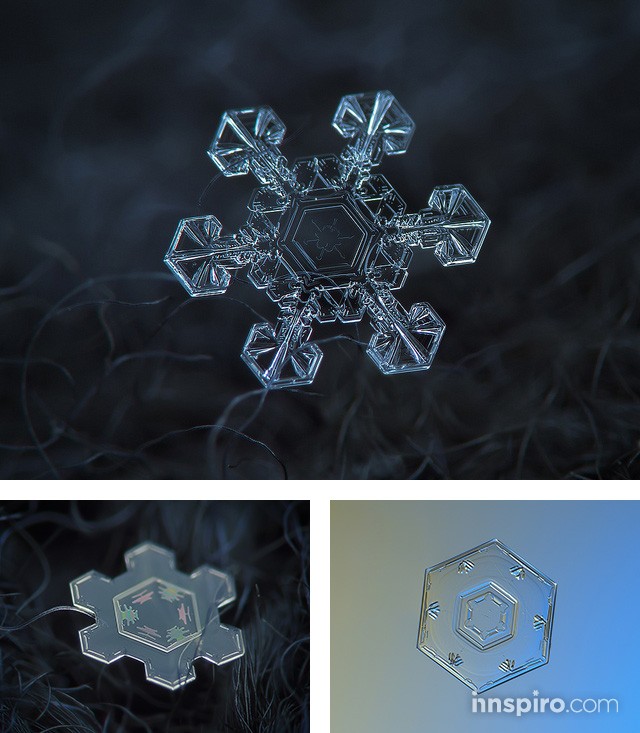 La inspiración de la naturaleza