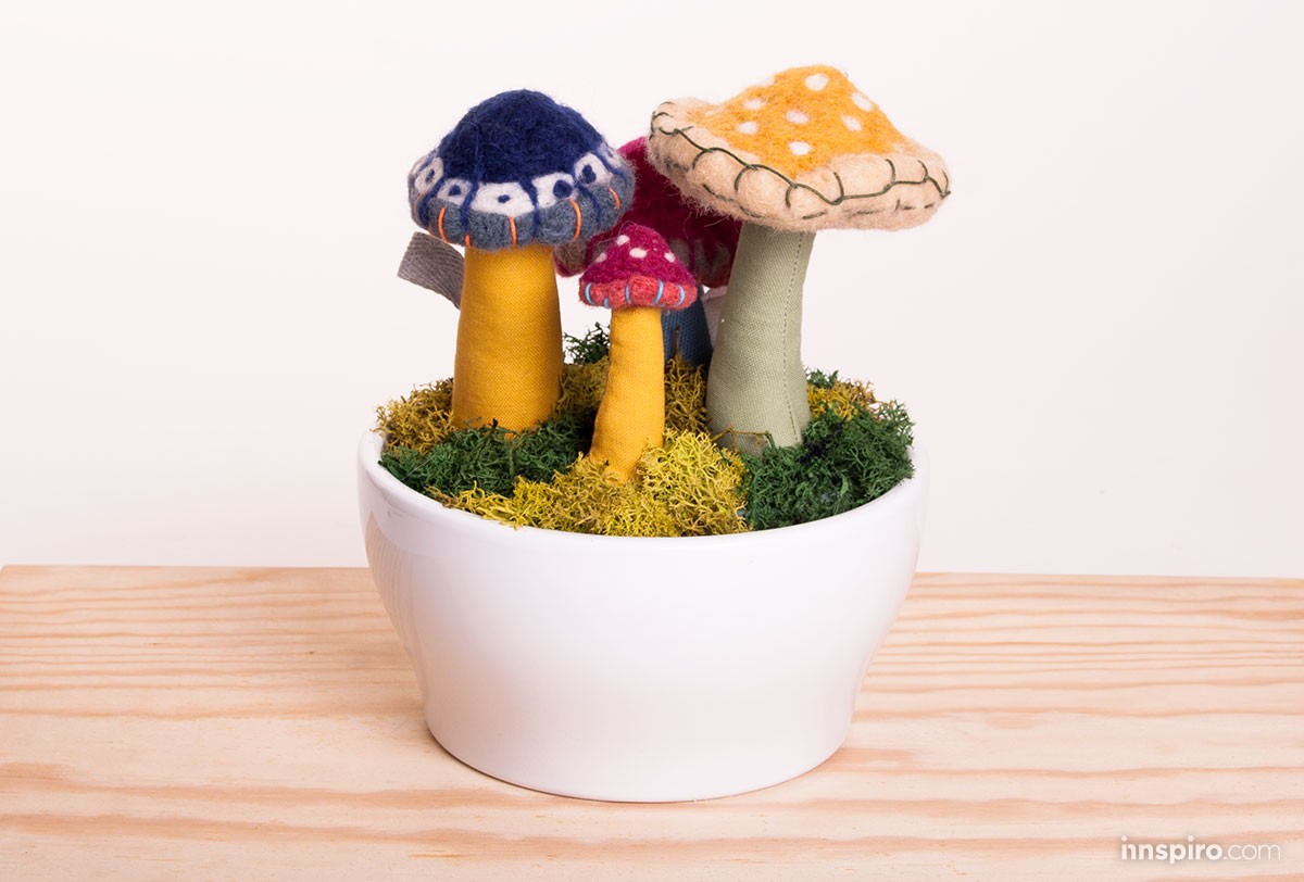 ¡Setas en estado puro!