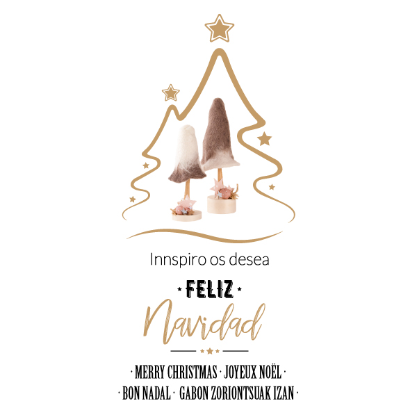 ¡Feliz y creativa Navidad de parte de Innspiro!
