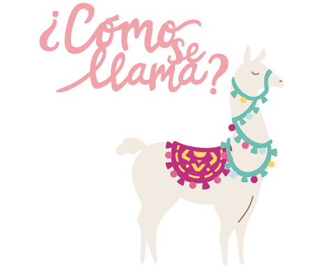 Novedades de Marzo troqueles y placas textura de Sizzix
