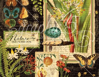 Colección NATURE SKETCHBOOK