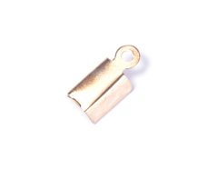 12017 Terminal metallique semi tube anneau dore Innspiro - Article