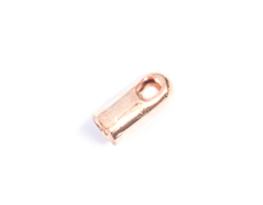 A12022 12022 Terminal metallique tube anneau dore Innspiro - Article