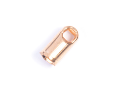 12024 A12024 Terminal metallique tube anneau dore Innspiro - Article