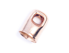 12027 A12027 Terminal metallique tube anneau dore Innspiro - Article