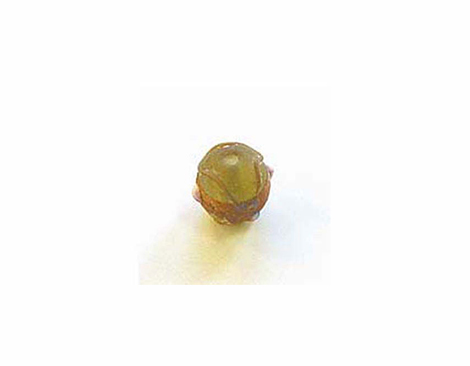 15224 Z15224 15224- Perles verre glace -Ronde avec relief- Innspiro