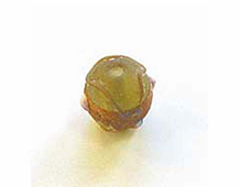 15224 Z15224 15224- Perles verre glace -Ronde avec relief- Innspiro - Article