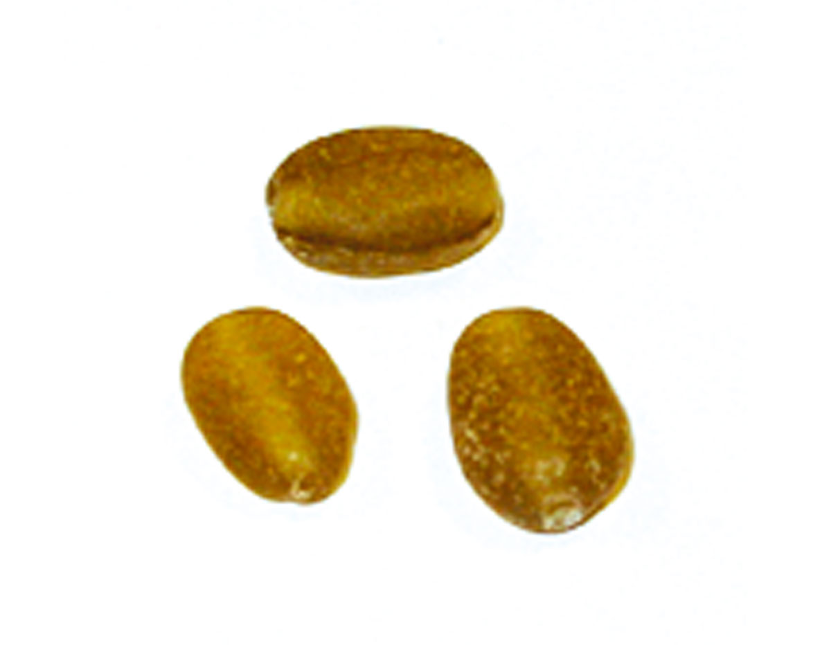 15435 Z15435 Perle en verre pierre ovale glacee ambre Innspiro