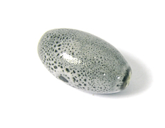 Z17131 17131 Cuenta ceramica oval gris Innspiro - Ítem